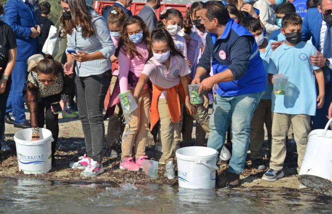 Dikili’de Denize 15 Bin Adet Yavru Balık Bırakıldı