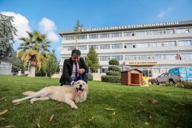 Her Okula Bir Sokak Köpeği