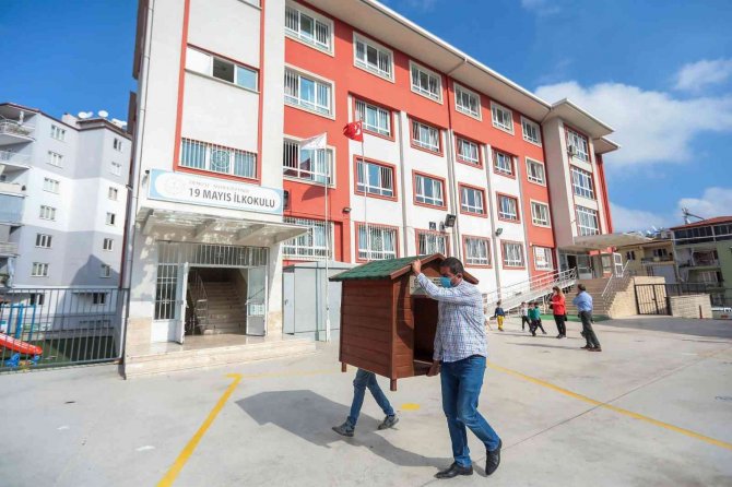 Her Okula Bir Sokak Köpeği