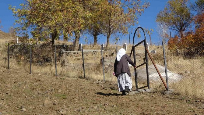 İ̇yi̇ Partili Lütfü Türkkan Küfür Etmişti, Bir Tepki De Şehidin Annesinden Geldi