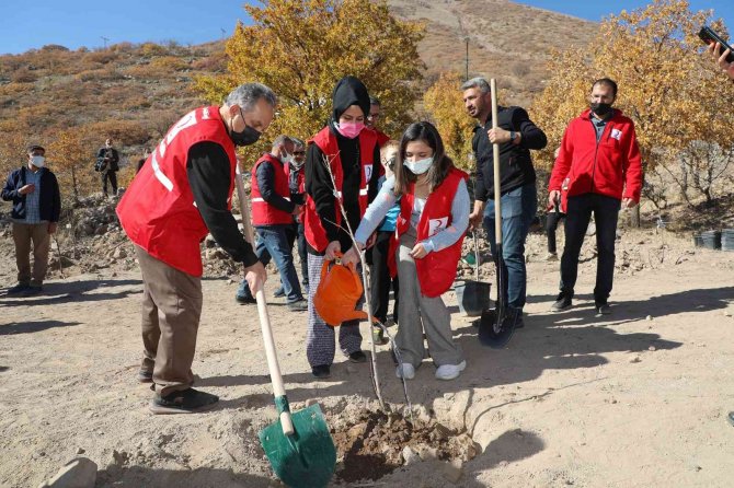 Kızılay Haftasında Ali Dağına Yüzlerce Meyve Ağacı Dikildi