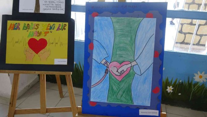 Sancaktepe’de İlkokullu Öğrenciler Fırçalarını Organ Bağışı İçin Konuşturdu