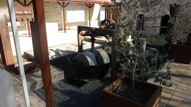 Zeytin Ve Zeytinyağı Müzesi’ne Ziyaretçi Akını