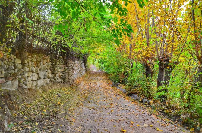 Malatya’da Sonbahar Ayrı Güzel