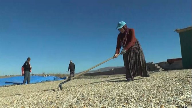 Nevşehir’in Coğrafi İşaretli Kabak Çekirdeği Tezgahlarda Yerini Almaya Başladı