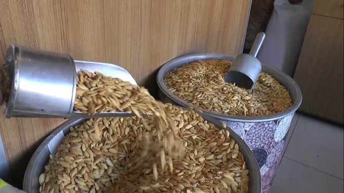 Nevşehir’in Coğrafi İşaretli Kabak Çekirdeği Tezgahlarda Yerini Almaya Başladı