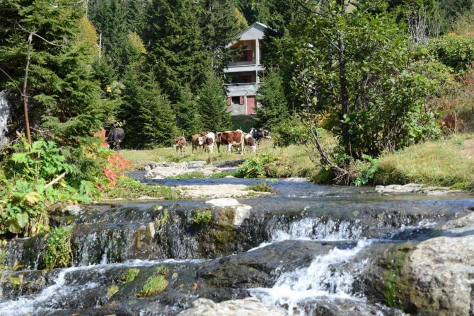 Sis Dağı’ndan Sonbahar Manzaraları