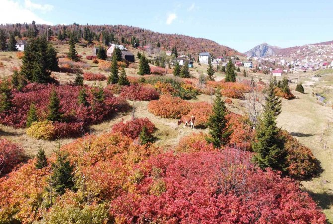 Sis Dağı’ndan Sonbahar Manzaraları