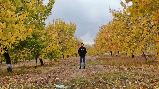 Elazığ’da ‘Altın Yaprakların’ Sonbahar Güzelliği