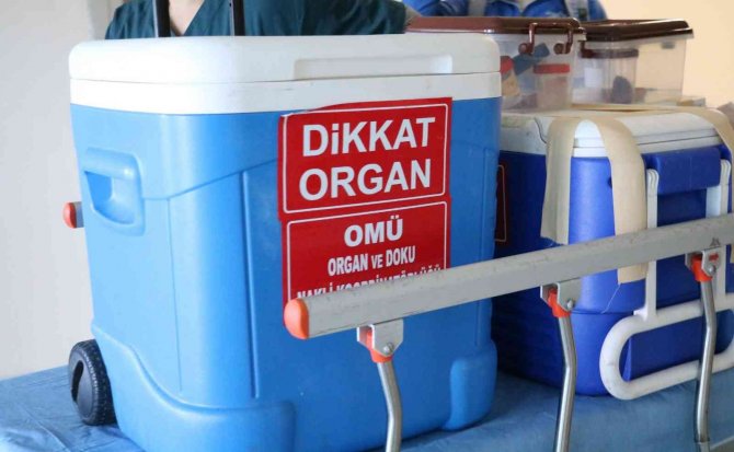 Organ Nakli Sayesinde 8 Kişi Hayata Tutundu