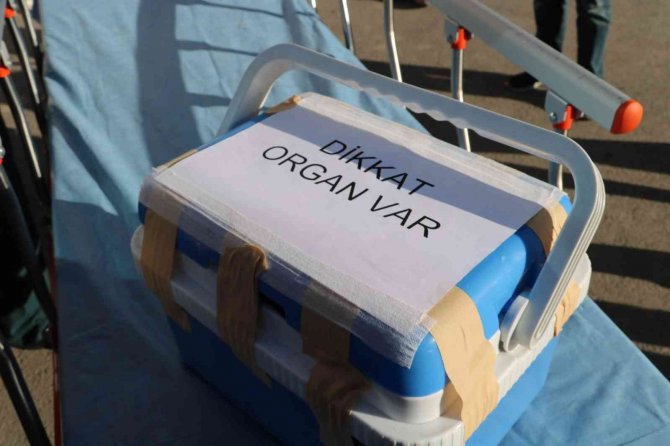 Organ Nakli Sayesinde 8 Kişi Hayata Tutundu