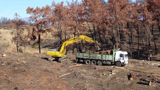 Manavgat’ta Yanan Ormanlık Alanlar Fidan Dikimine Hazırlanıyor