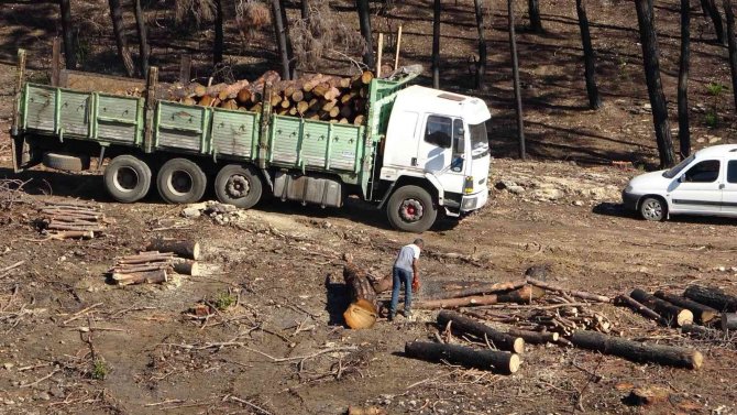 Manavgat’ta Yanan Ormanlık Alanlar Fidan Dikimine Hazırlanıyor