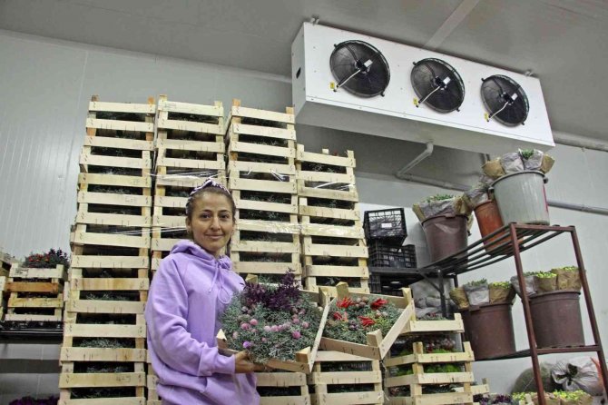 Avrupa’nın Yılbaşı Çelenkleri Antalyalı Kadınların Ellerinden Çıkıyor