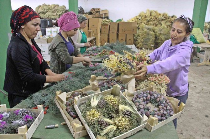 Avrupa’nın Yılbaşı Çelenkleri Antalyalı Kadınların Ellerinden Çıkıyor