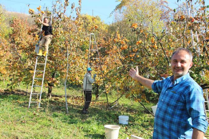 Gencinden Yaşlısına, Kadınından Erkeğine Herkes Hurma Hasadında