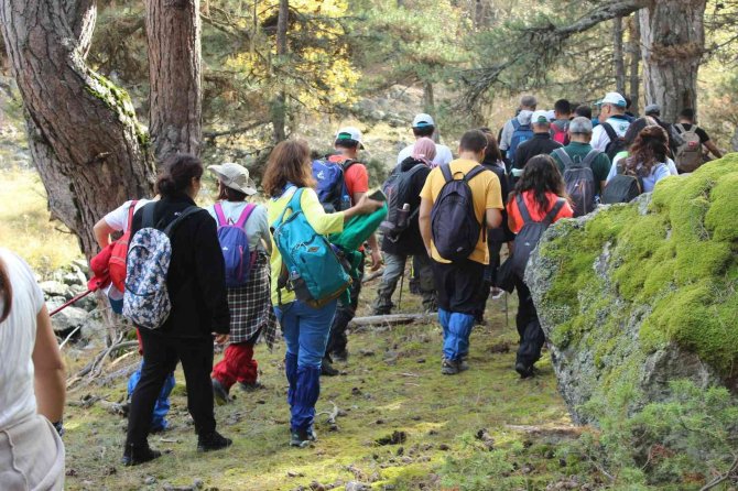 Doğa Tutkunları 12 Kilometrelik Guz Deresi Kanyonu’nun Zorlu Geçitlerinde Yürüdü