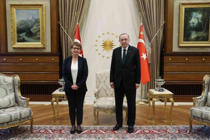 Cumhurbaşkanı Erdoğan, Renaud-bosso’yu Kabul Etti
