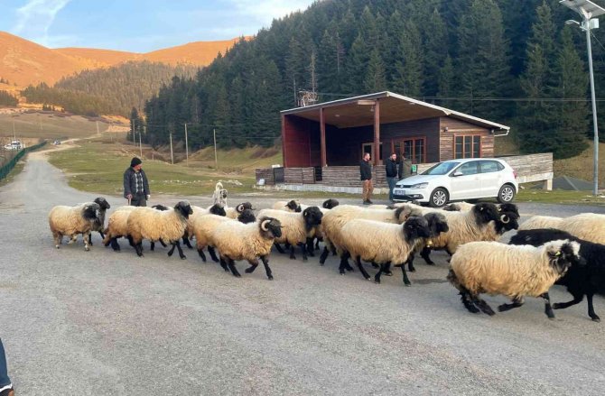 Kümbet Yaylası Cezbediyor
