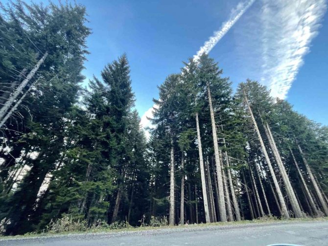 Kümbet Yaylası Cezbediyor