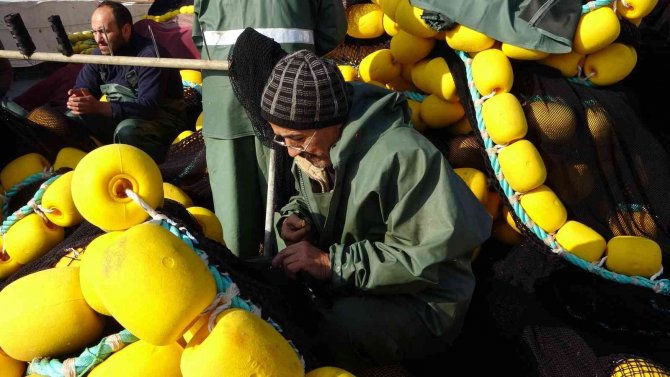 Hamsi Peşindeki Balıkçı Tekneleri Karadeniz’e Akın Etti
