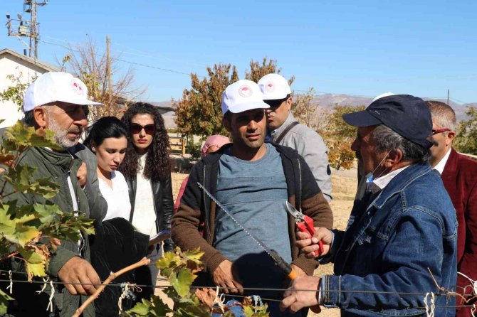 "Iğdır Meyveciliğinde Budama Ve Aşılama Eğitimi’’ Projesi