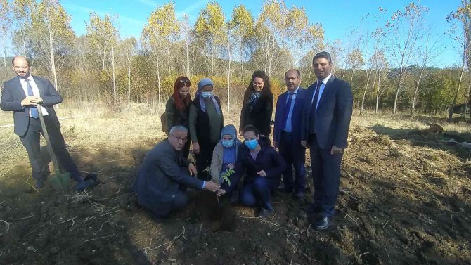 ‘Kara Mürver’ Toprakla Buluştu