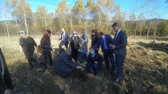 ‘Kara Mürver’ Toprakla Buluştu