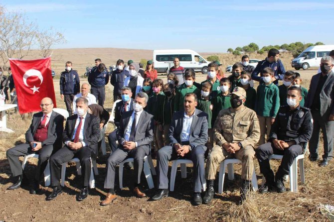 Kilis Adalet Orman’ına 500 Zeytin Fidanı Dikildi