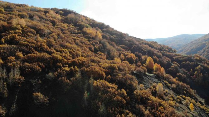 Muş’ta Sonbahar Güzelliği