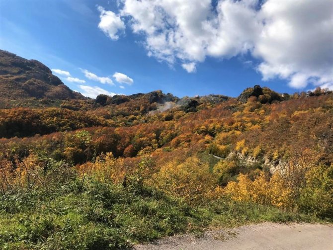 Ordu Yaylalarında Sonbahar Güzelliği