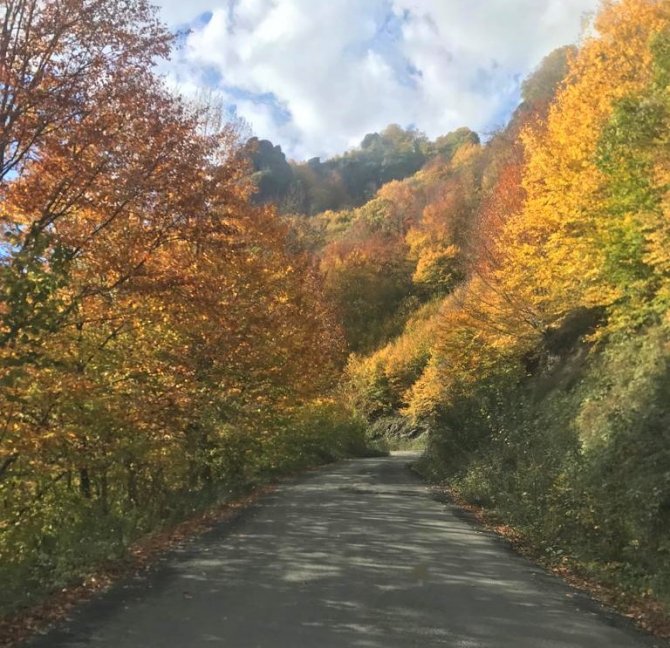 Ordu Yaylalarında Sonbahar Güzelliği
