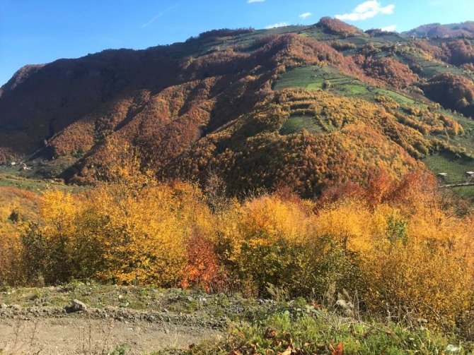 Ordu Yaylalarında Sonbahar Güzelliği
