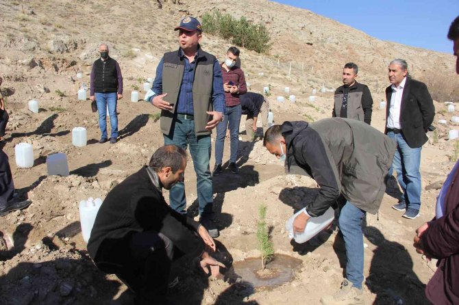Sosyal Medyada Toplanıp 9 Bin Fidanı Toprakla Buluşturdular