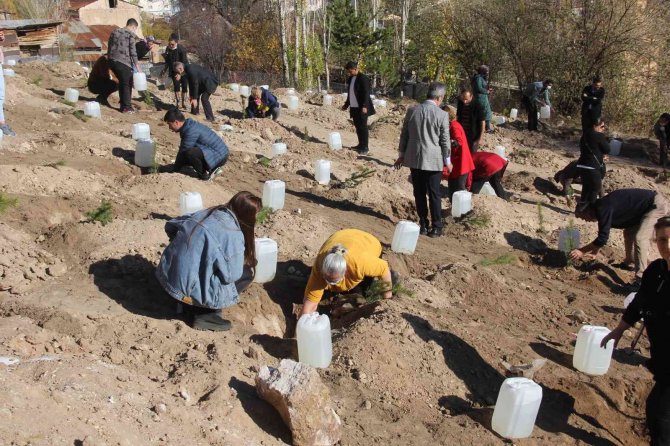 Sosyal Medyada Toplanıp 9 Bin Fidanı Toprakla Buluşturdular