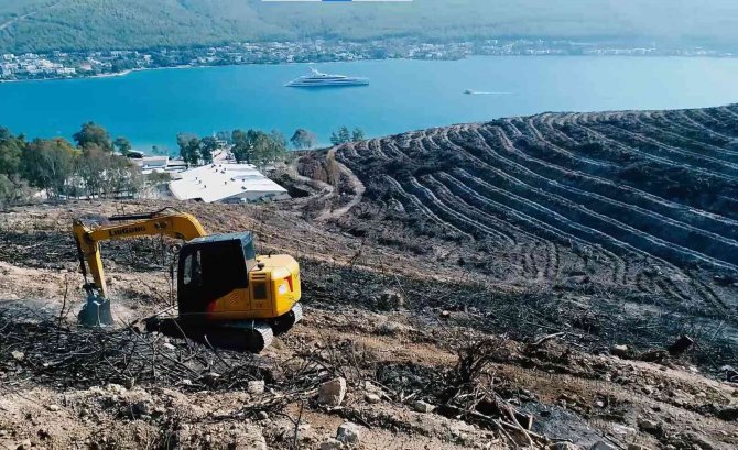 Muğla’da 28 Milyon Fidan Toprakla Buluşacak