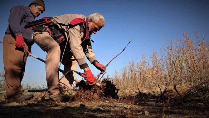 12 Milyon Fidanın Üretildiği Elazığ’da 2 Milyon Fidan Toprakla Buluşacak