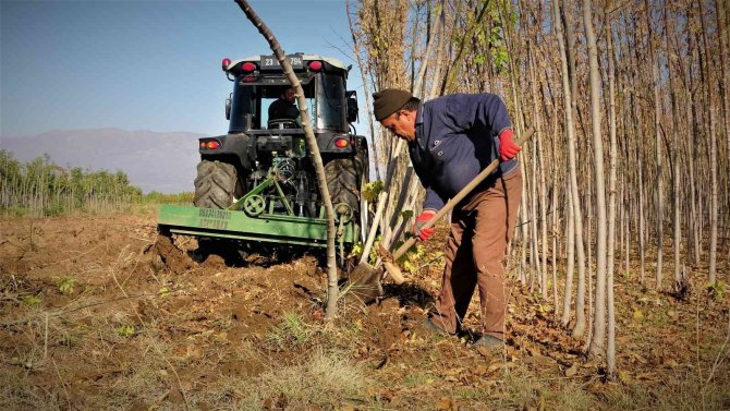 12 Milyon Fidanın Üretildiği Elazığ’da 2 Milyon Fidan Toprakla Buluşacak