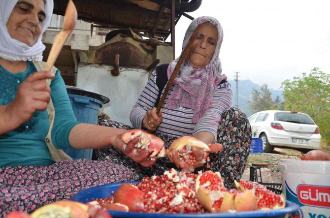 Antalya’da Nar Ekşisinin Şifalı Yolculuğu Başladı