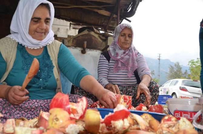 Antalya’da Nar Ekşisinin Şifalı Yolculuğu Başladı