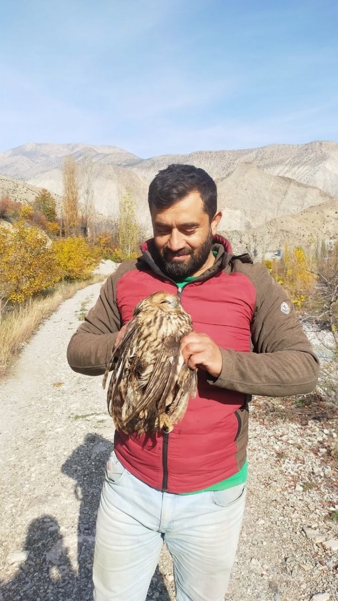 Vinç Operatörü Yaralı Bulduğu Baykuşu Milli Parklar Yetkililerine Teslim Etti