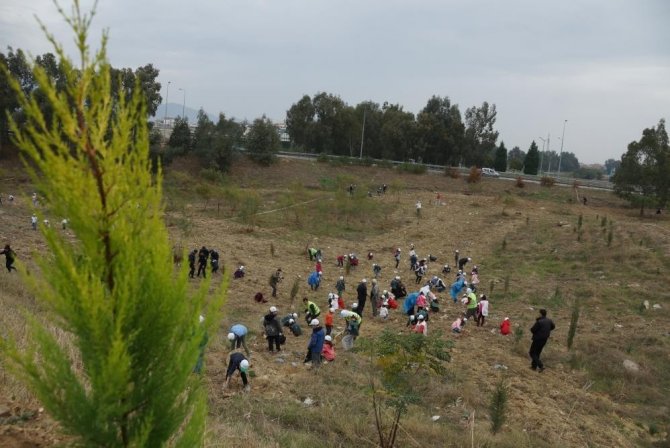 Aydın’da Fidan Dikim Noktaları Belli Oldu