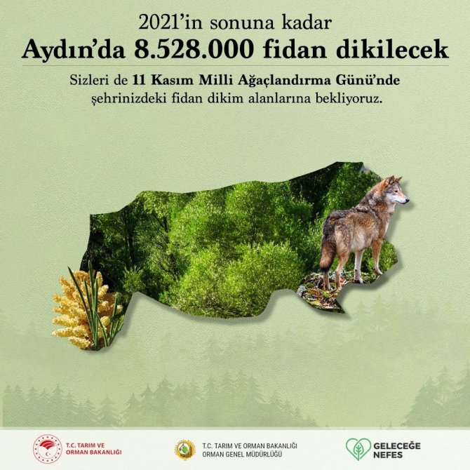 Aydın’da Fidan Dikim Noktaları Belli Oldu