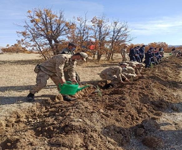 Elazığ’da Jandarma Ekipleri Bir Günde 8 Bin 300 Fidan Dikti