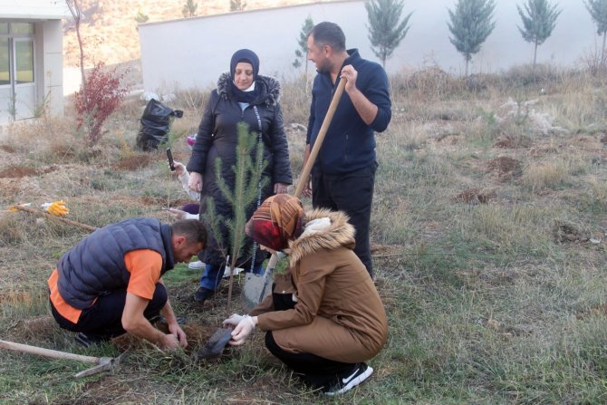 Fidan Dikerek Hayata İz Bıraktılar