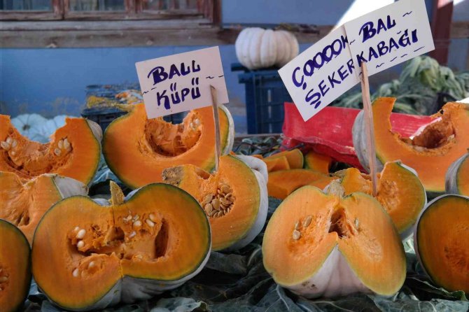 Bal Kabağının En İyisi Eskişehir’de Üretiliyor