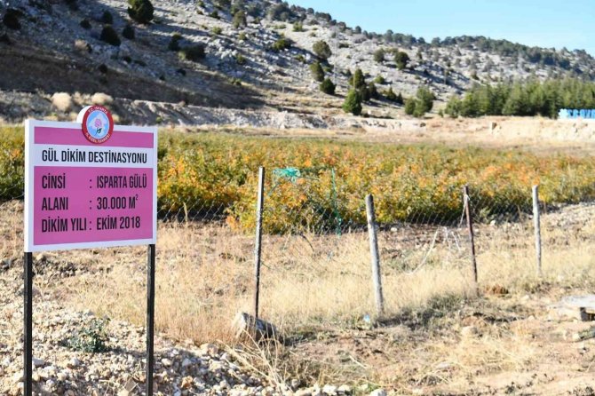 Hedef 12 Ay Turizm 500 Bin Ziyaretçi