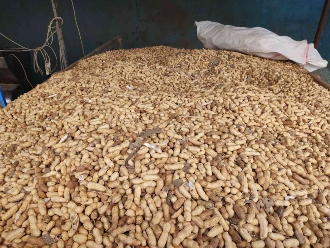 Ambalajsız Keklerde Ölümcül Risk