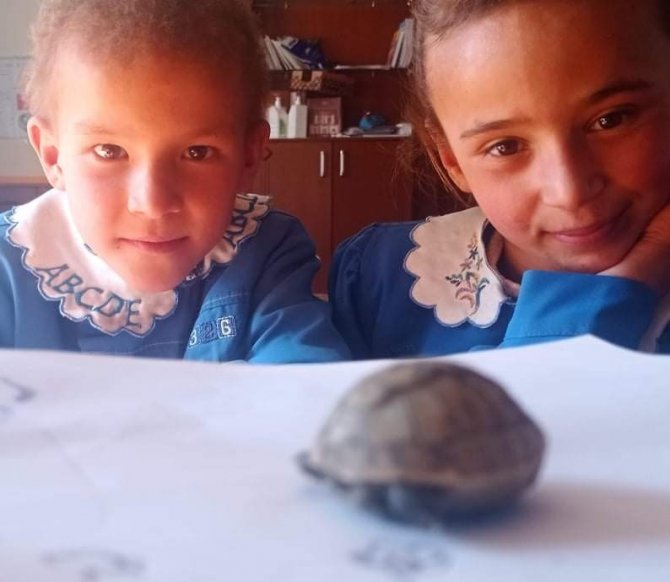 Yavru Kaplumbağaya Öğretmen Ve Öğrenciler Sahip Çıktı