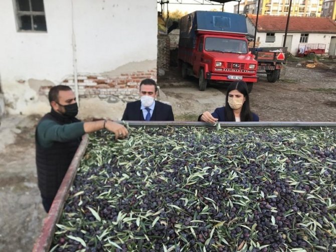 Kaymakam Memiş, Zeytinyağı İşletmesini Ziyaret Etti
